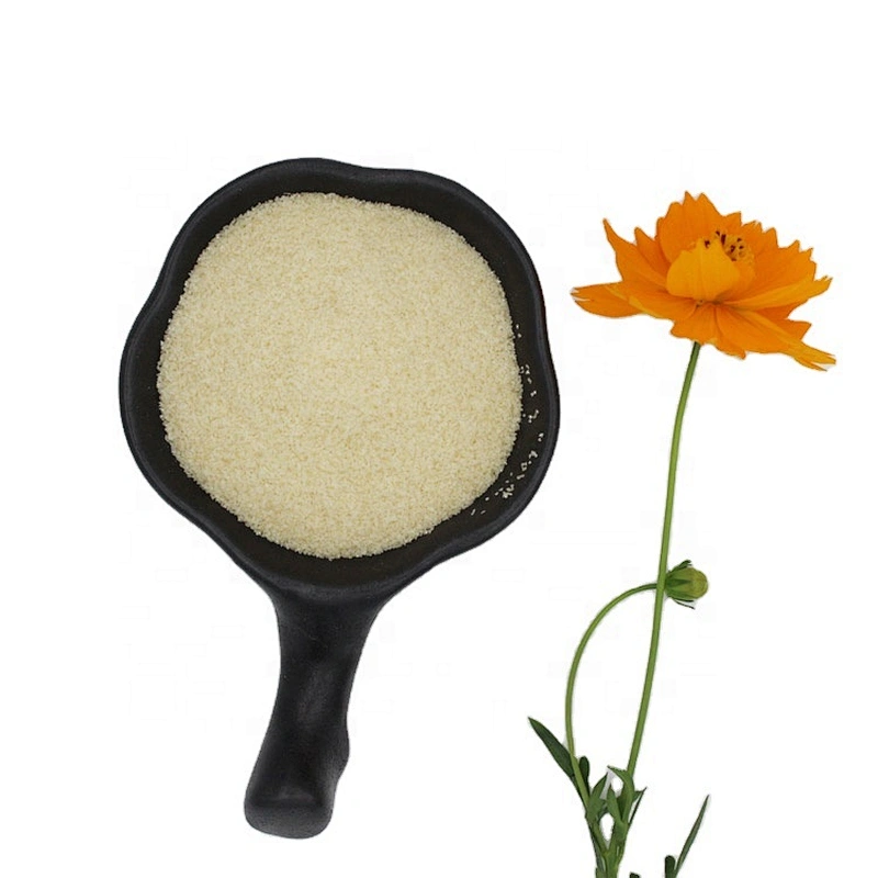 2024 food grade halal beef skin gelatin powder food grade suppliers high-quality gelatin150 160 180 bloom
